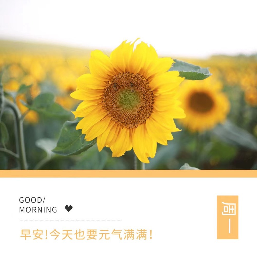 夋夋休息的图片