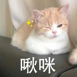阳阳💕休主播照片