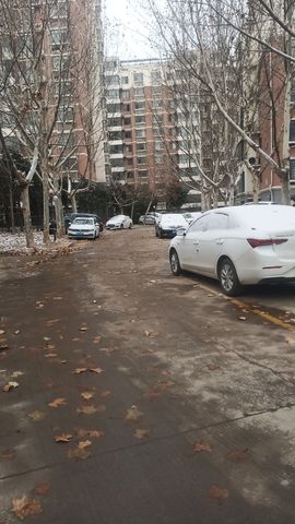 爱笑🌺好运常伴左右主播照片