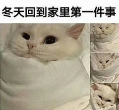 肥肥小豆芽😈退了主播照片