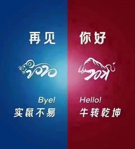 赵小旺主播照片