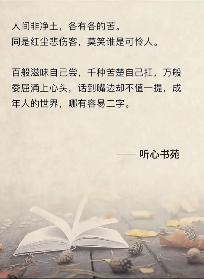 ✨往事随风👉的主播照片