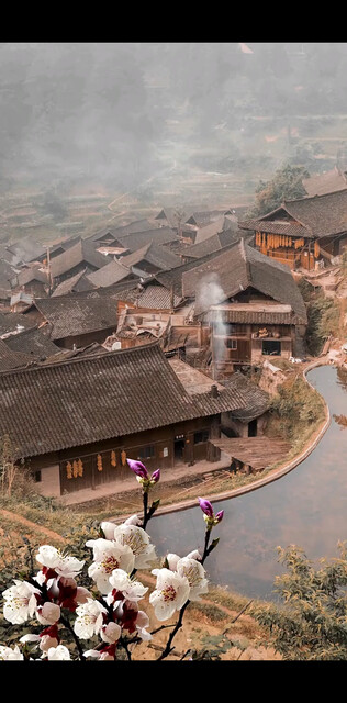有钱这里是净土，没钱