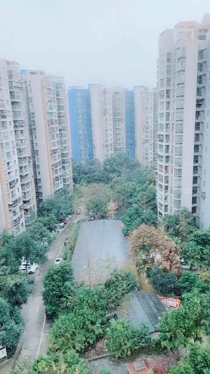 成都难见下雪❄️
