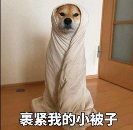 周七周七周七主播照片