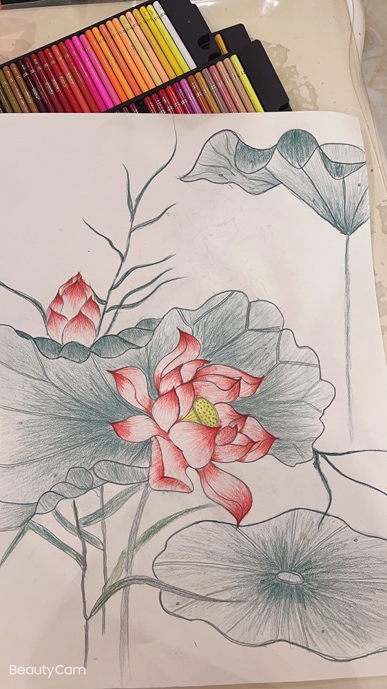 素雪恭贺飞总荣升的图片