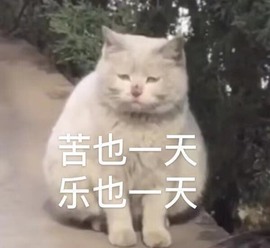 蓝小莓小朋友主播照片