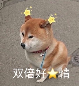 雯雯退主播照片