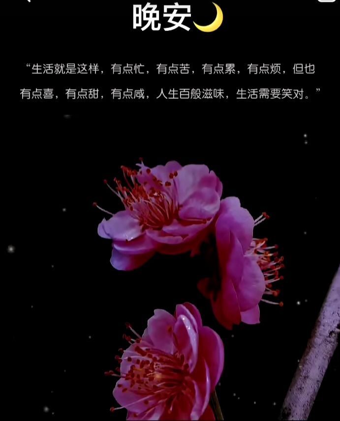 酒夢(mèng)8888的主播照片