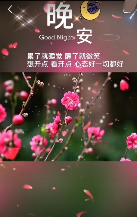 余生多指教666的主播照片