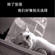 终于一辈子