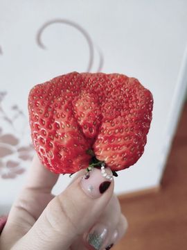 馨小艺🎀主播照片