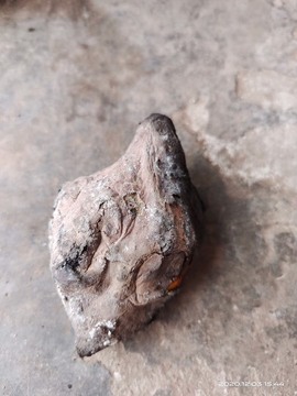 凑美没人爱主播照片