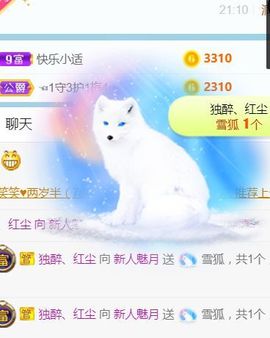新人魅月主播照片