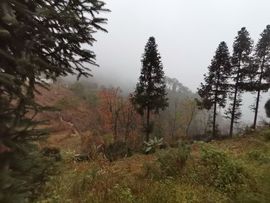 凑美没人爱主播照片