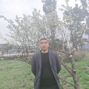 心碎很孤单