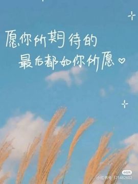 依芝の求百元榜的图片