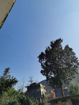 偶遇宝贝主播照片