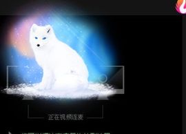 新人魅月主播照片