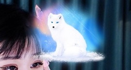 长腿聪聪♥等守护主播照片