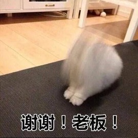 雯雯退主播照片