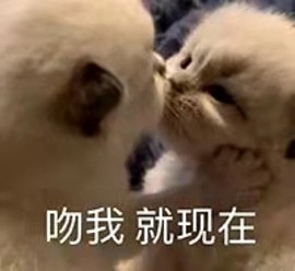 崽崽🧸停主播照片
