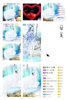 一树梨花压海唐同学☞的图片