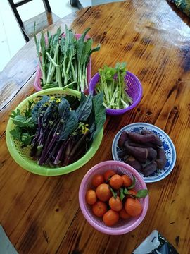 👑䒕暖宝好运旺旺旺主播照片