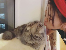 木子！小安主播照片