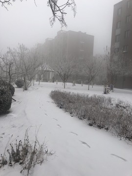 小雅代理ღ好运来主播照片