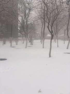 小雅代理ღ好运来主播照片