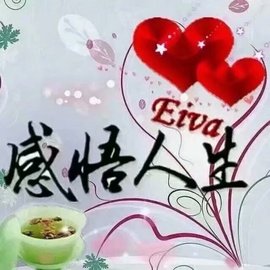 დ释怀დ主播照片