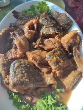 吃货🐽猪猪^O^主播照片