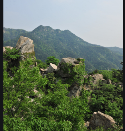 ♚~小巴豆~贪财好色的图片
