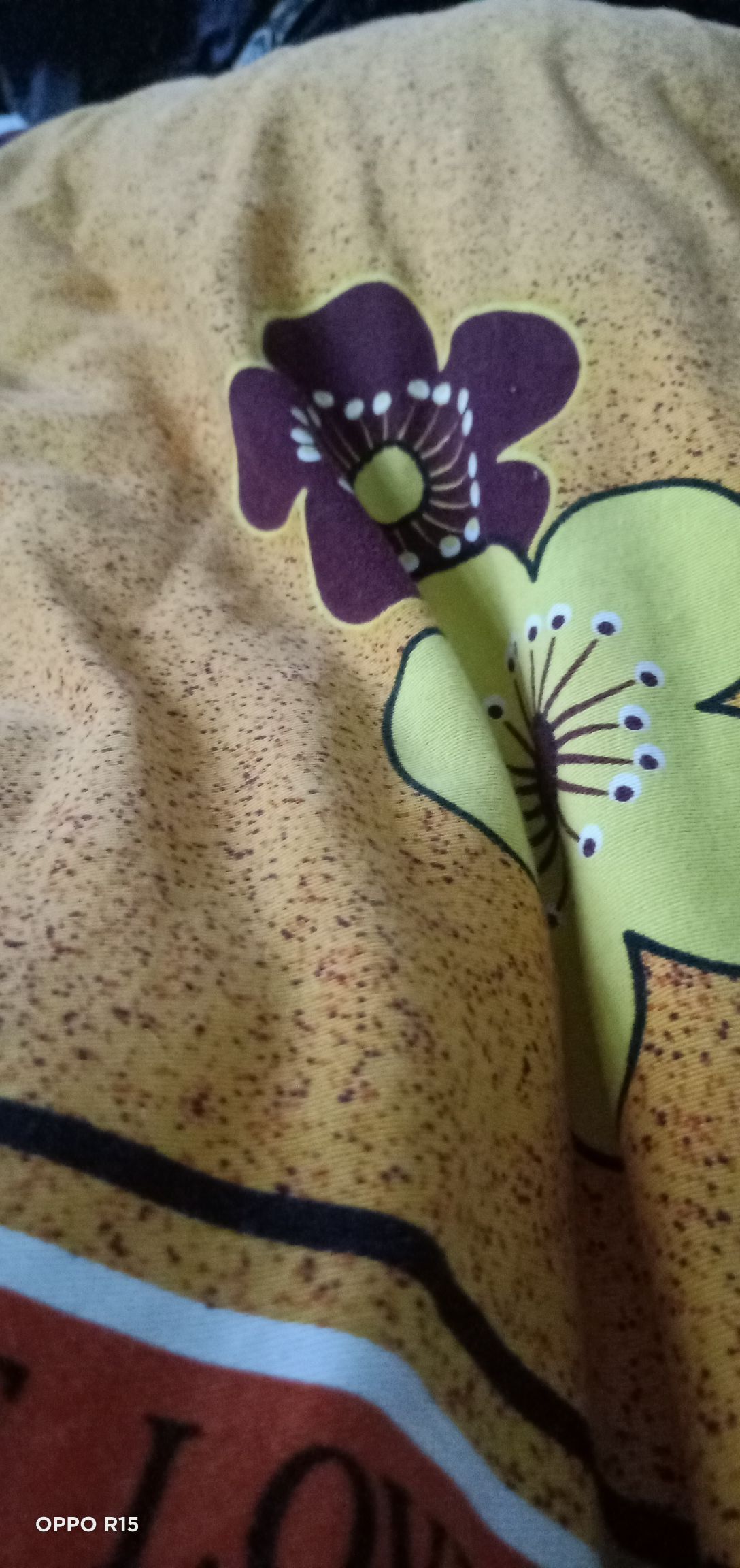 胆量小的华主播照片