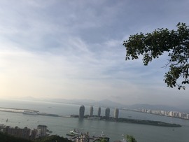 小雅代理ღ好运来主播照片