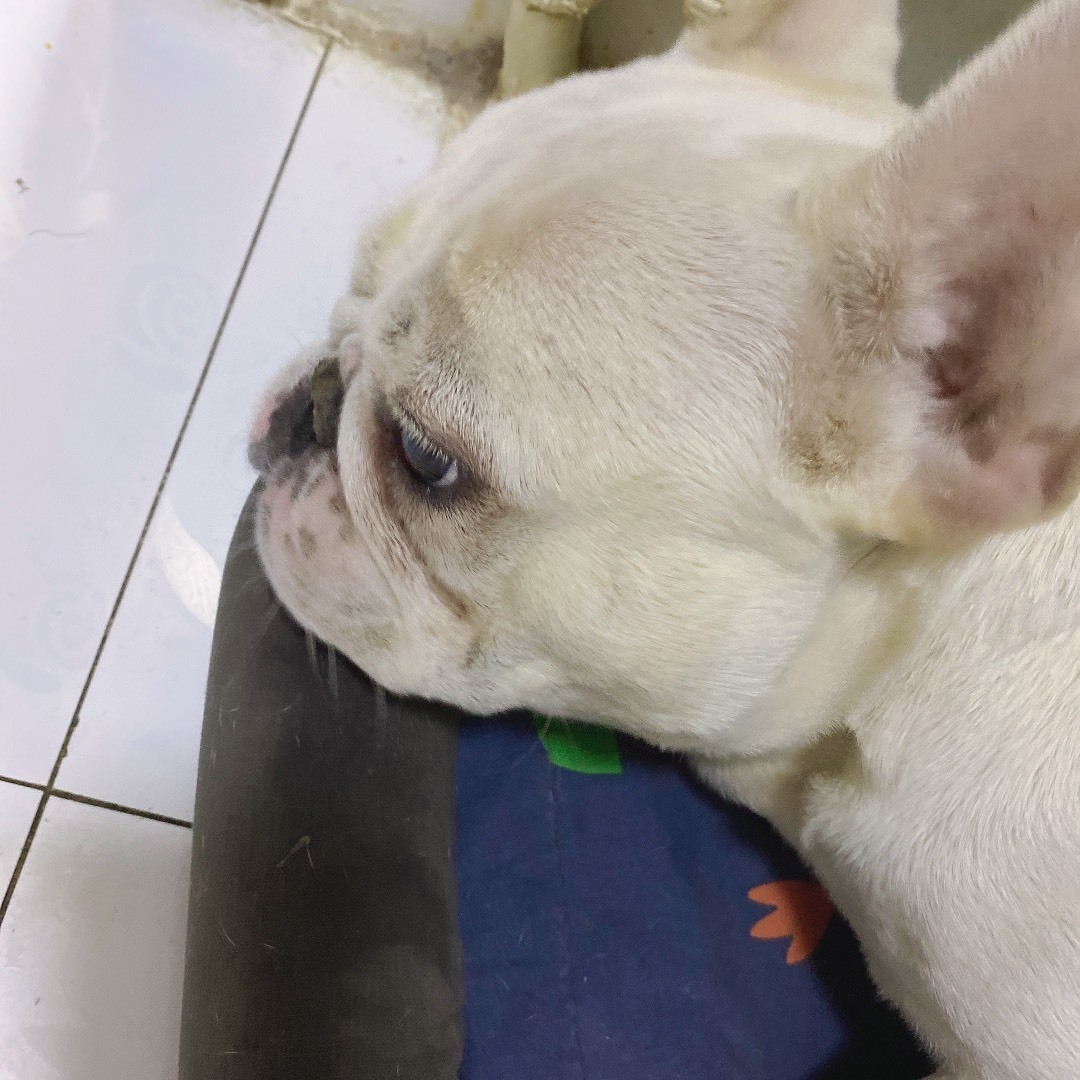 佳琦佳期的图片