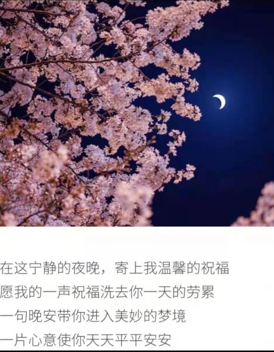 龙三暂休！的图片
