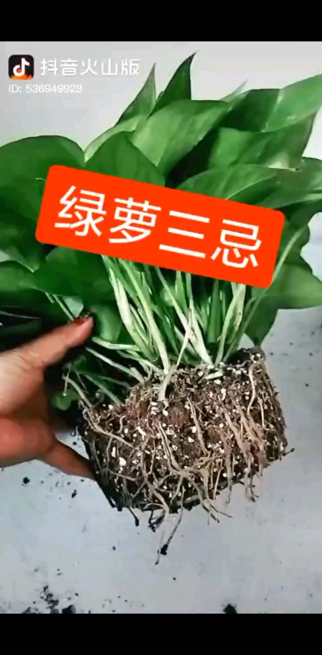 快点学学吧