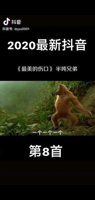 哈哈哈