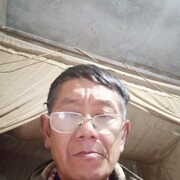 MobP38852j