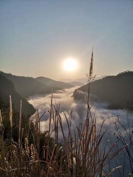 唯爱🌺小艾主播照片