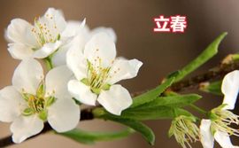 暖心晚上播的图片