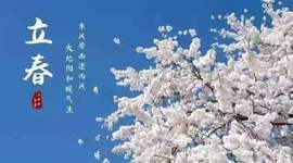你ღ果然ღ是老板主播照片