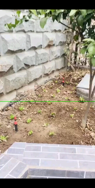 今年我种的菜，哈哈😄