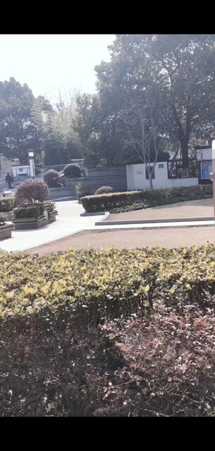#贺新春，送祝福，与