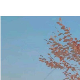 小狸吖～主播照片