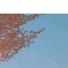你ღ果然ღ是老板主播照片