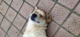 赵赵么么哒~~主播照片