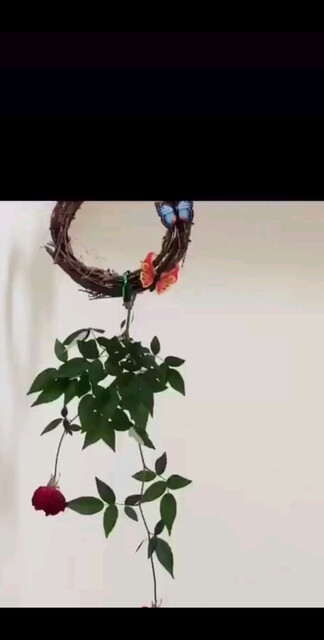 也就是说，要，多走路